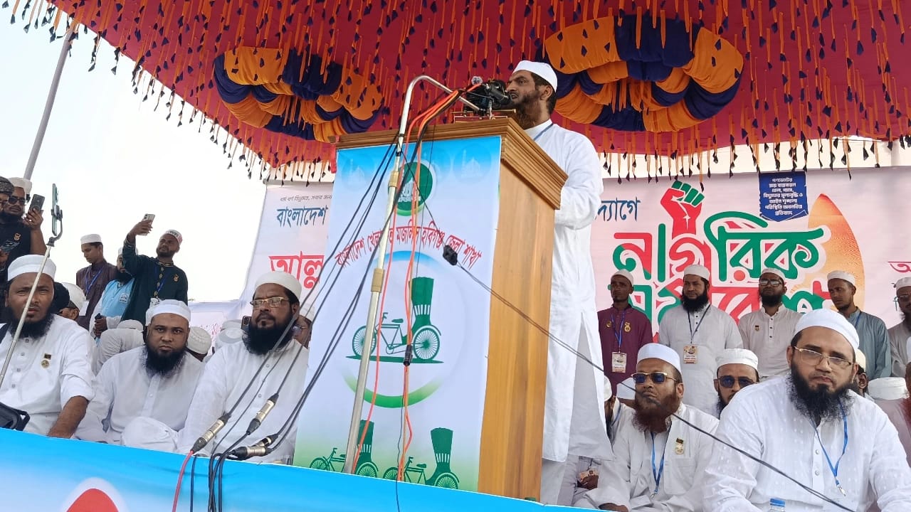 গণভোট অবৈধ হলে বিএনপি সরকারও অবৈধ: মামুনুল হক